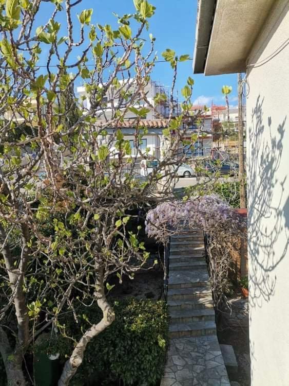Guest House Sunce โนวีวีโนดอลสกี ภายนอก รูปภาพ